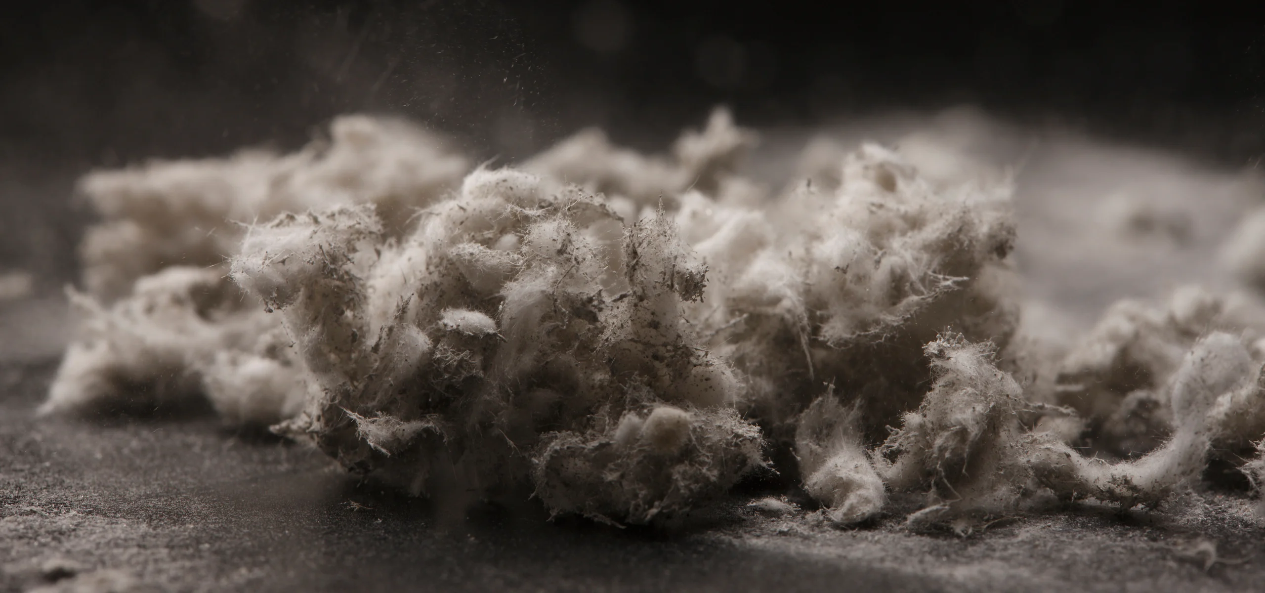 Nahaufnahme von faserigem, asbesthaltigem Material mit deutlich sichtbarer Faserstruktur