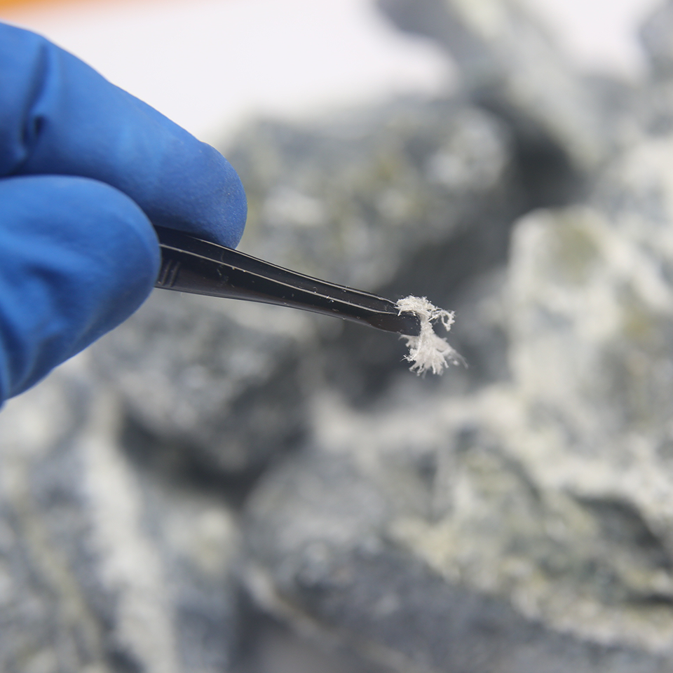 Faserige Materialprobe wird mit einer Pinzette zur Untersuchung auf mögliche Asbestfasern entnommen